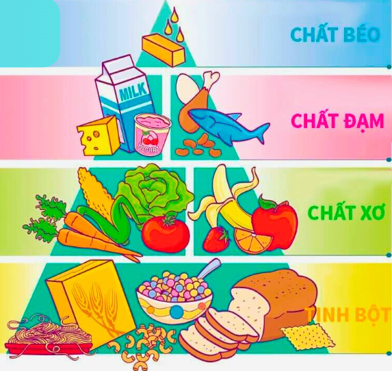 Chế Độ Dinh Dưỡng Hoàn Hảo Cho Người Luyện tập Thể Thao-744-1