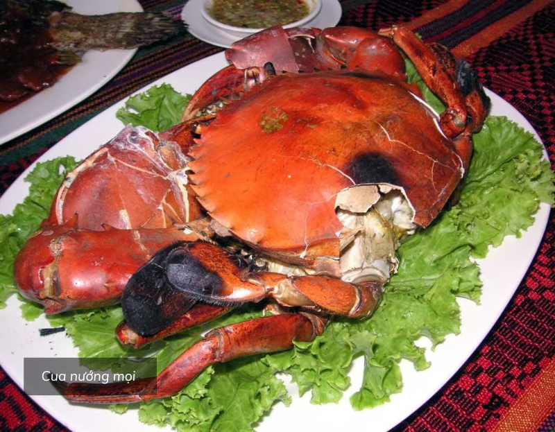 Đặc Sản Cà Mau – Hương Vị Đậm Đà Của Miền Sông Nước-1012-1