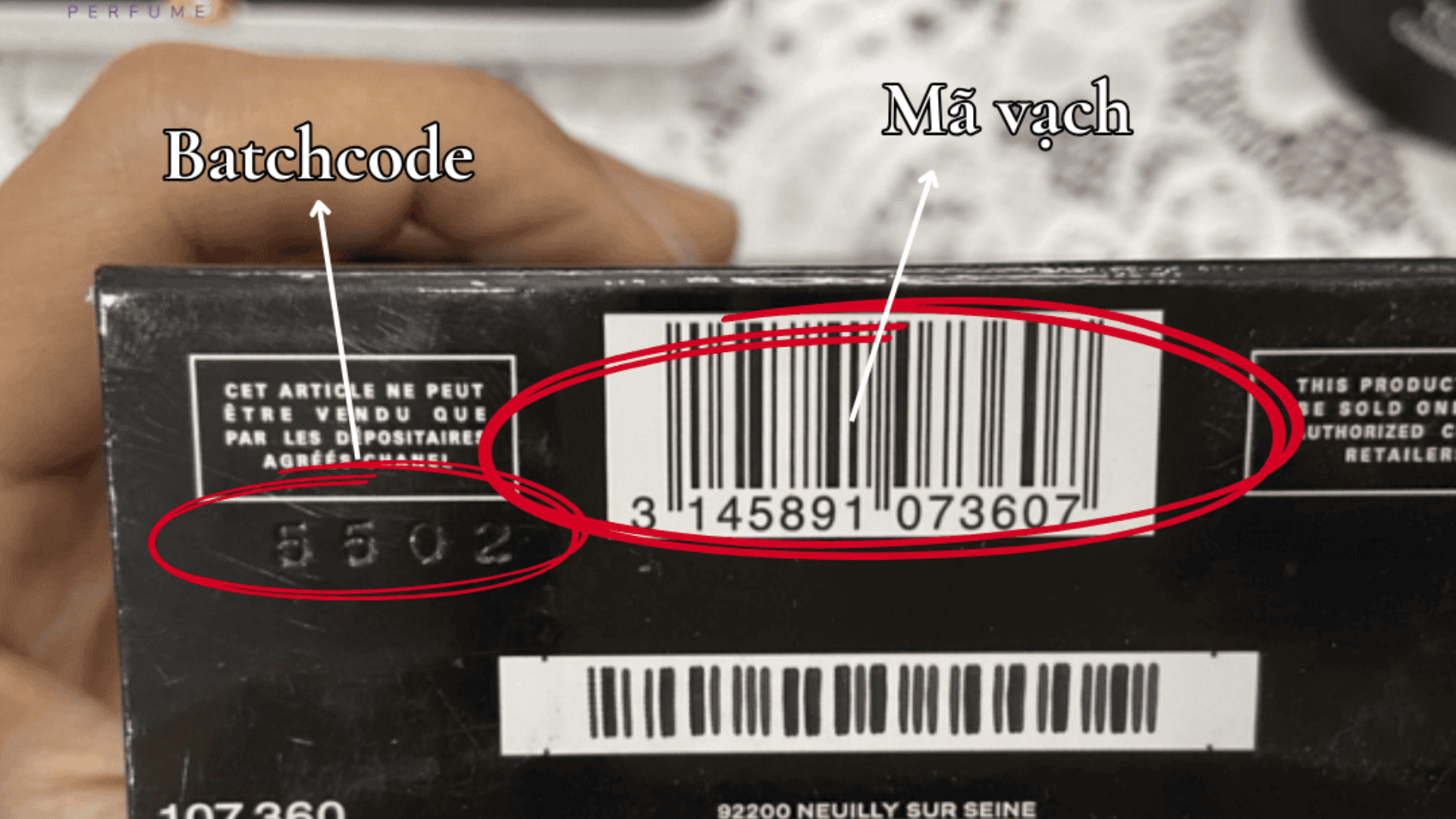 Các Bước Kiểm Tra Nước Hoa Mini: Đảm Bảo Sản Phẩm An Toàn và Hiệu Quả-1113-1
