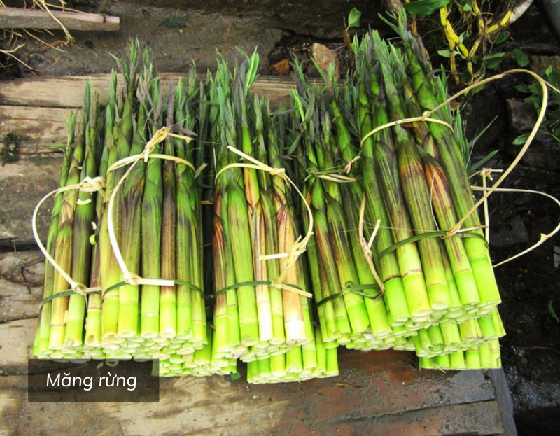 Ẩm Thực Miền Núi – Hương Vị Thiên Nhiên Giữa Núi Rừng Hùng Vĩ-960-1