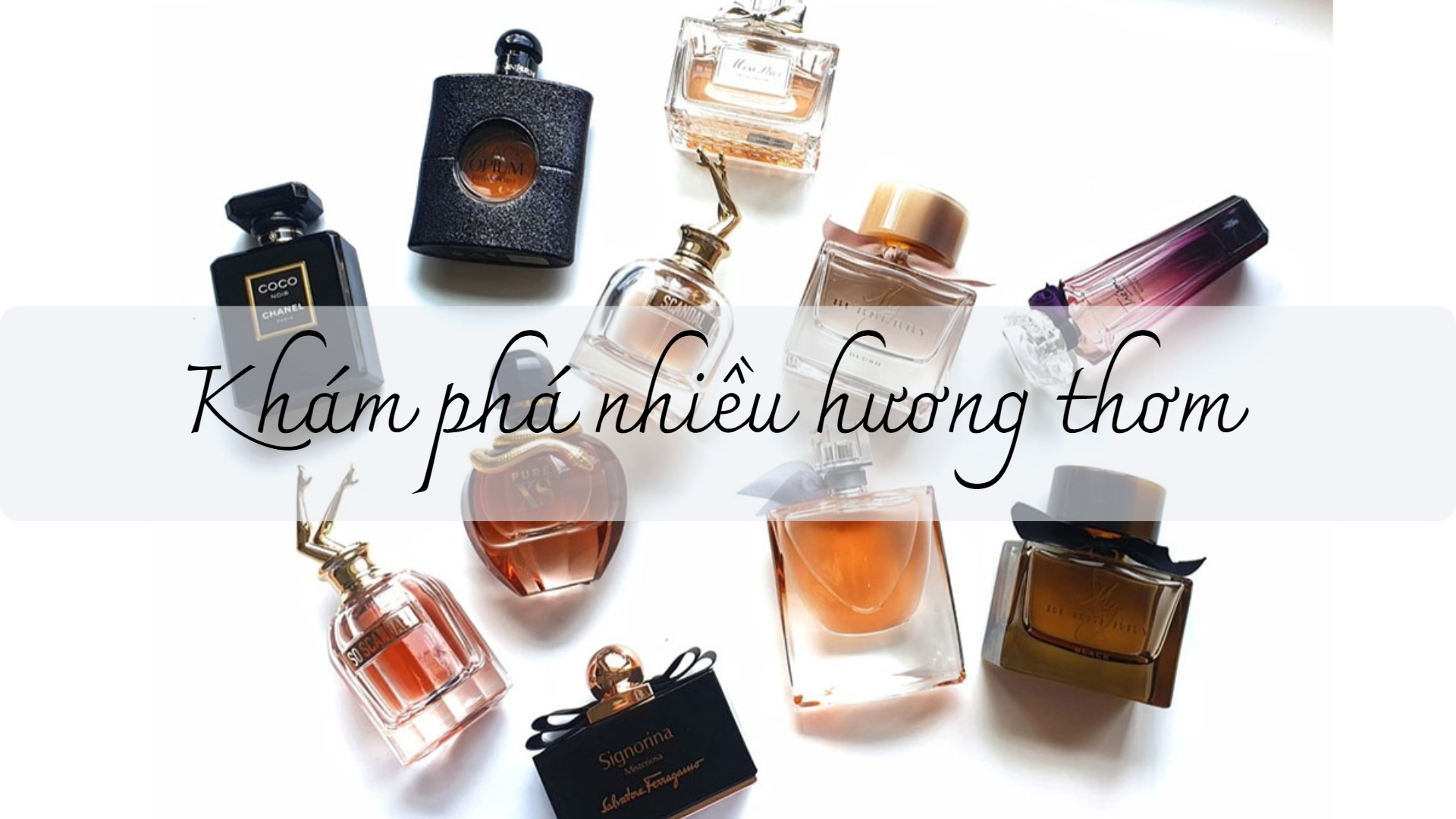 Nước Hoa Mini Làm Quà Tặng: Ý Nghĩa Và Độc Đáo-1098-1