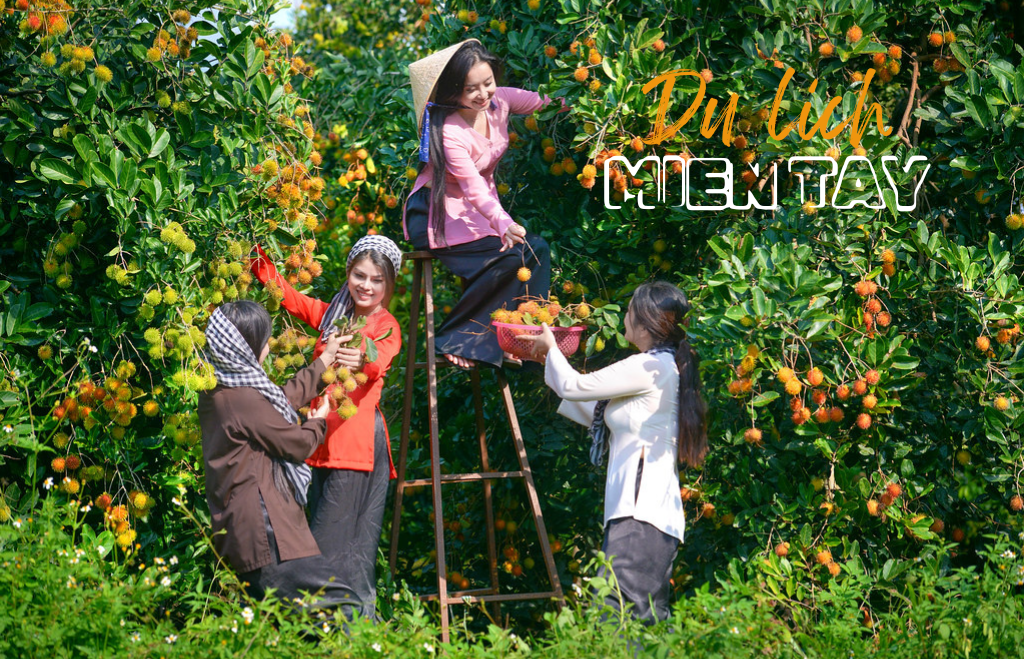 Du lịch miền tây sông nước - Nguyên-774-1