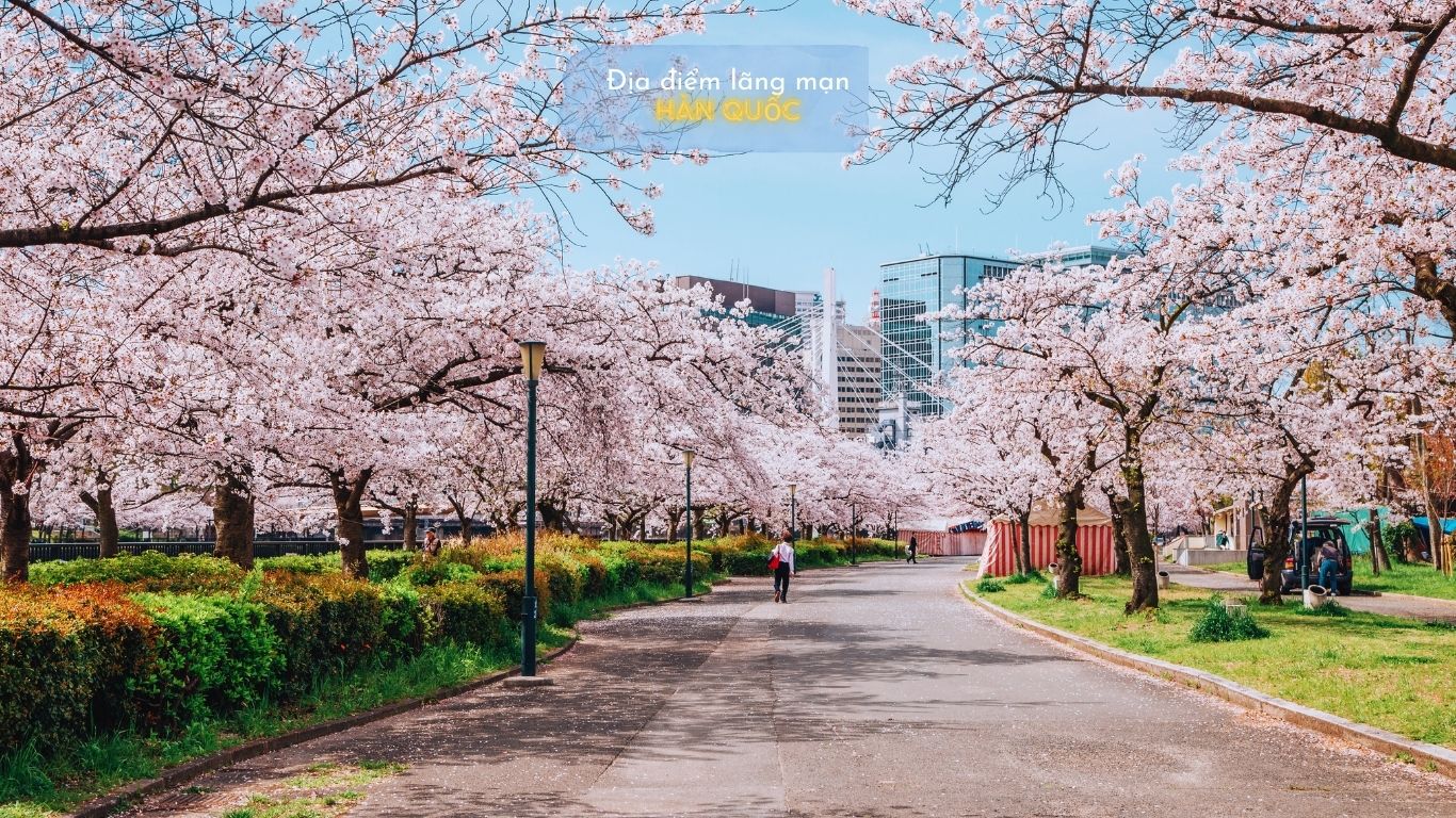 Tour Du Lịch Hàn Quốc Lãng Mạn Dành Cho Các Cặp Đôi-1048-1