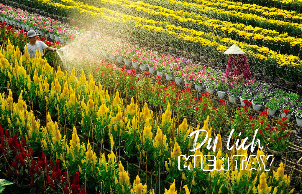 Du lịch miền tây sông nước - Nguyên-774-1