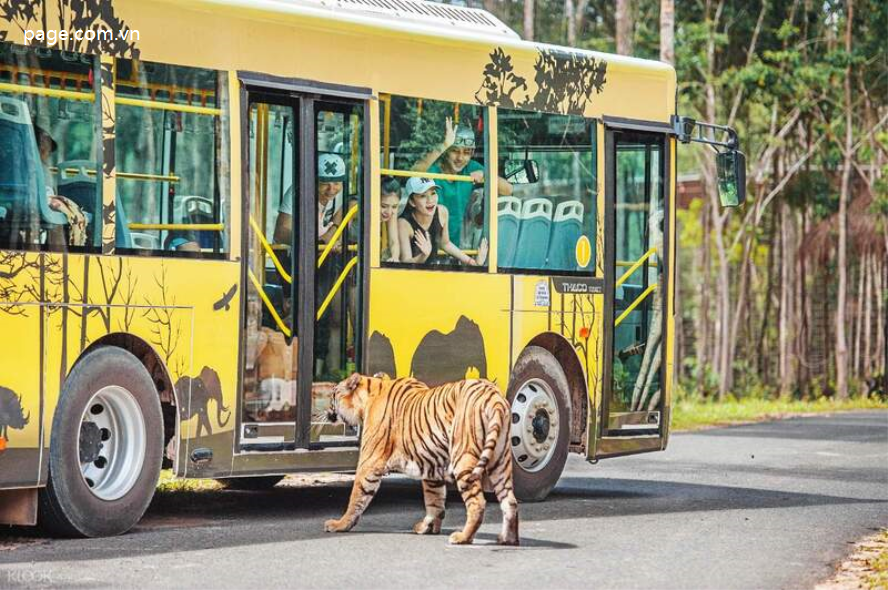 Vinpearl Safari Phú Quốc - Vườn Thú Bán Hoang Dã Trên Đảo Ngọc-220-1