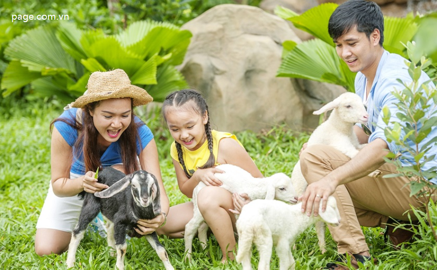 Vinpearl Safari Phú Quốc - Vườn Thú Bán Hoang Dã Trên Đảo Ngọc-220-1