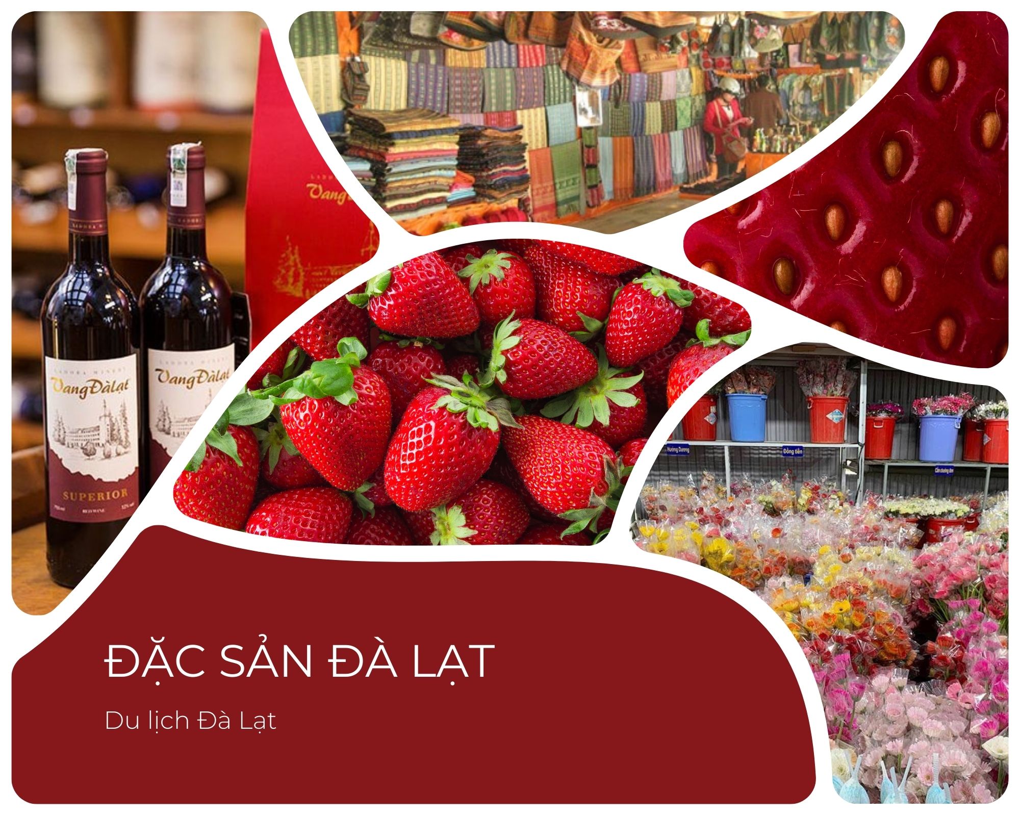 Du Lịch Đà Lạt – Đến Thăm Thành Phố Ngàn Hoa-765-1