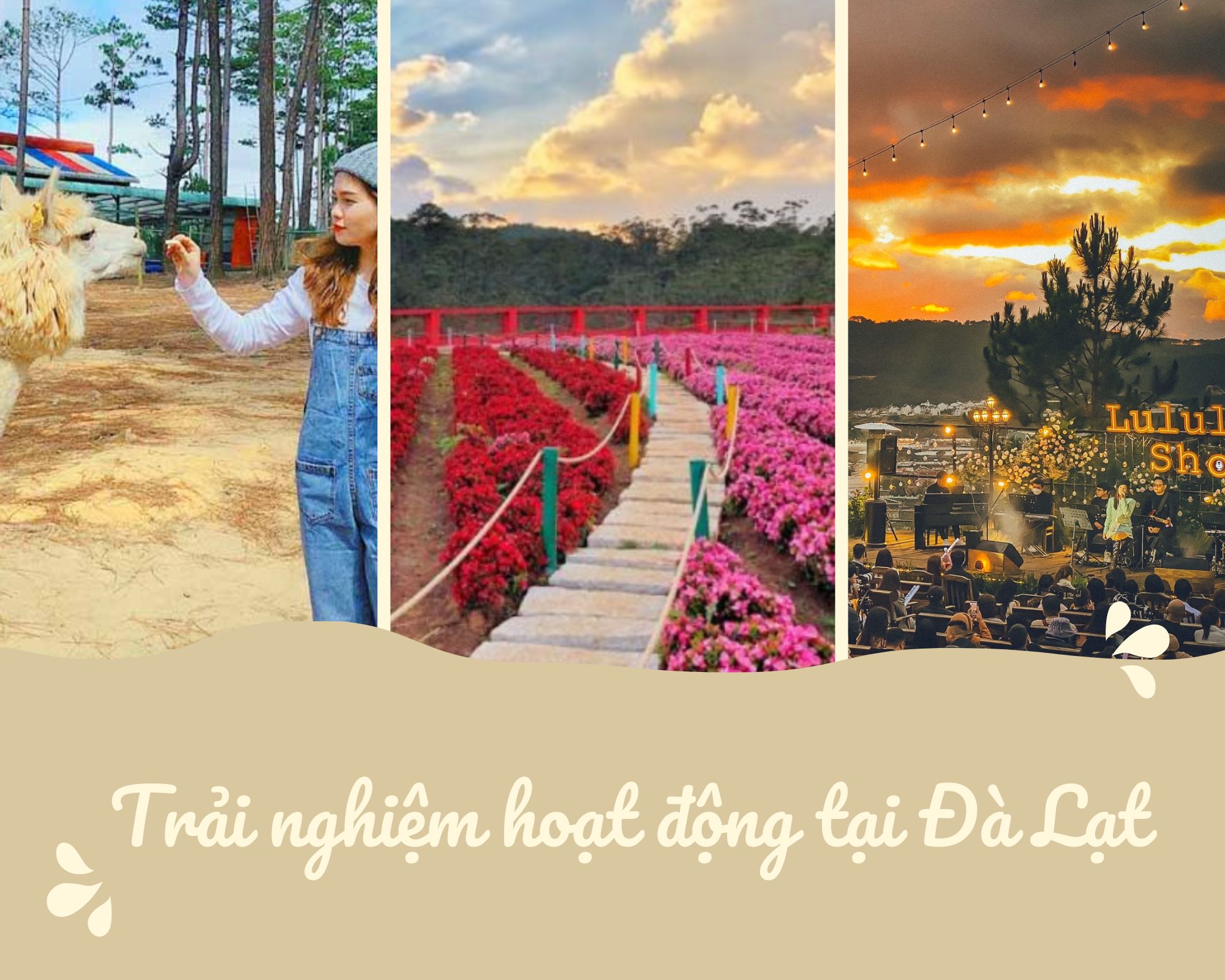 Du Lịch Đà Lạt – Đến Thăm Thành Phố Ngàn Hoa-765-1