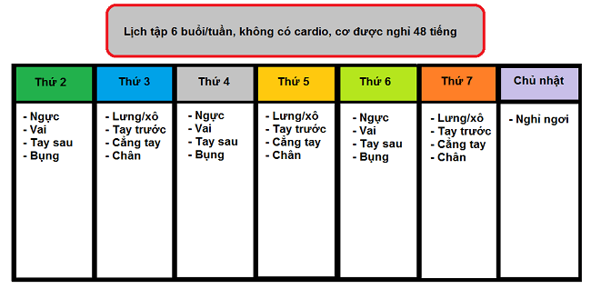 Tập Gym - Bí Quyết Sở Hữu Thân Hình Lý Tưởng Và Sức Khỏe Toàn Diện-940-1