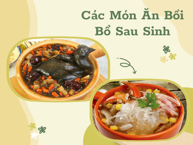 Món Ăn Bồi Bổ Sức Khỏe – Bí Quyết Tăng Cường Sức Đề Kháng Và Hồi Phục Nhanh Chóng-786-1