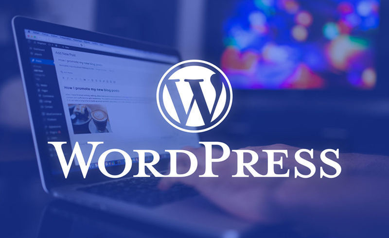 Có Nên Thiết Kế Website Bằng WordPress Không