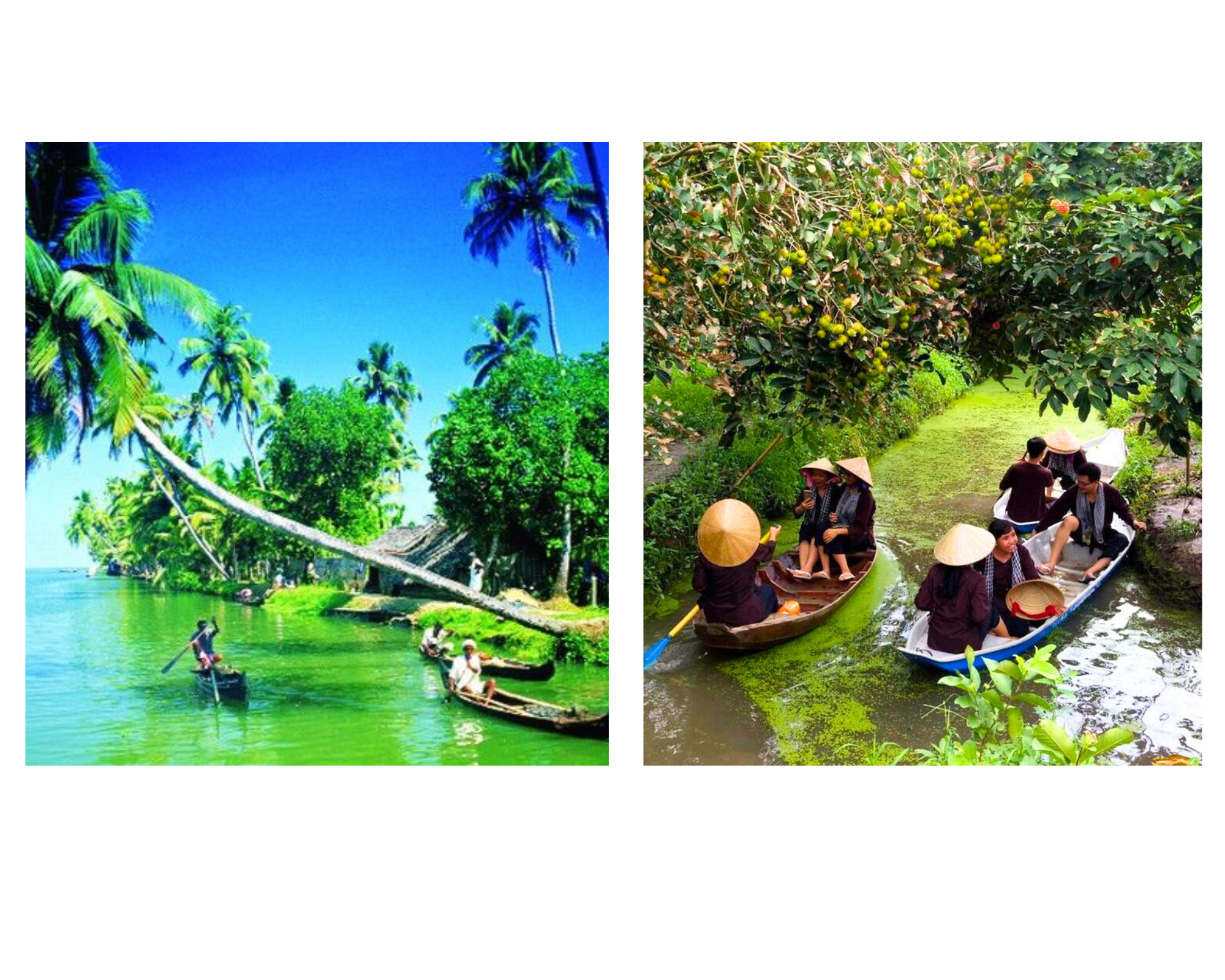 Khám Phá Miệt Vườn Miền Tây:Thưởng Thức Đặc Sản Tại Điểm Đến Hấp Dẫn