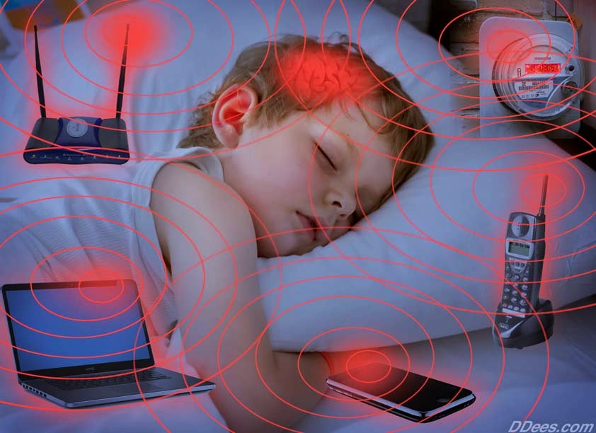 Sóng wifi có hại không?