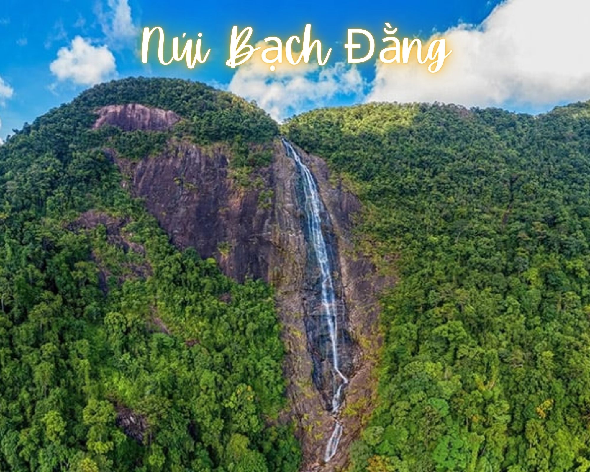 Trekking Núi Bạch Mã: Hành Trình Thử Thách Giữa Rừng Thiên Nhiên