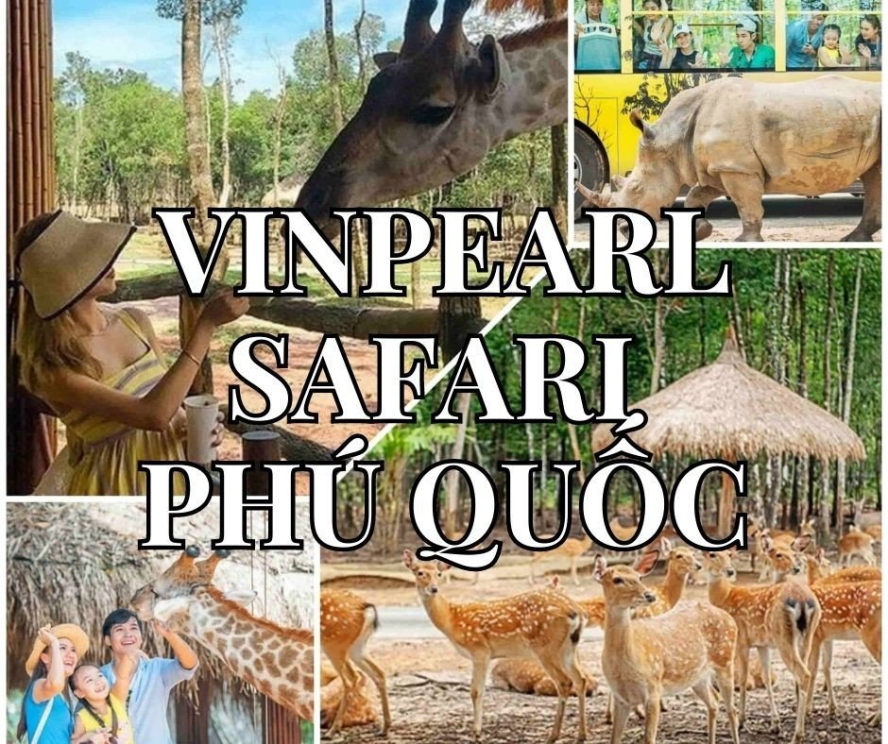Vinpearl Safari Phú Quốc - Vườn Thú Bán Hoang Dã Trên Đảo Ngọc