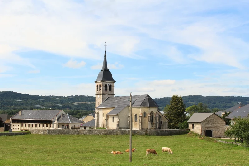 Khám Phá New Zealand 10 Ngày 9 Đêm Trọn Vẹn Đảo Bắc và Đảo Nam