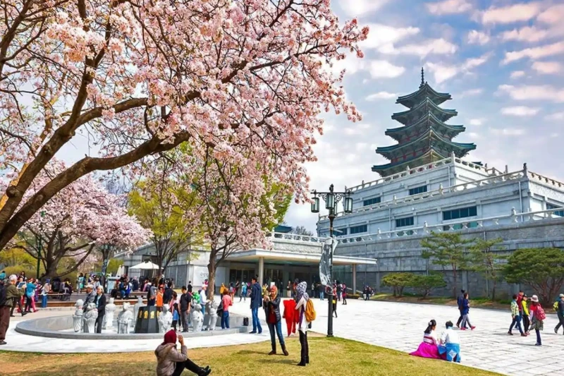 Tour Hàn Quốc Seoul - Đảo Nami - Everland 5 Ngày 4 Đêm Bay Vietjet Air (bay Trưa)