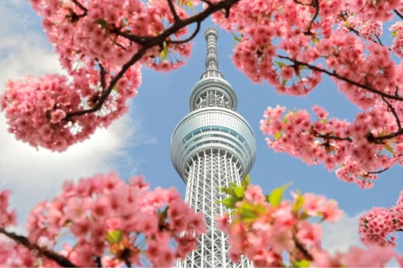 Tour Nhật Bản Cung Đường Vàng 6N5Đ: Kansai – Osaka – Kyoto – Núi Phú Sĩ – Tokyo - Bay Vietnam Airlines