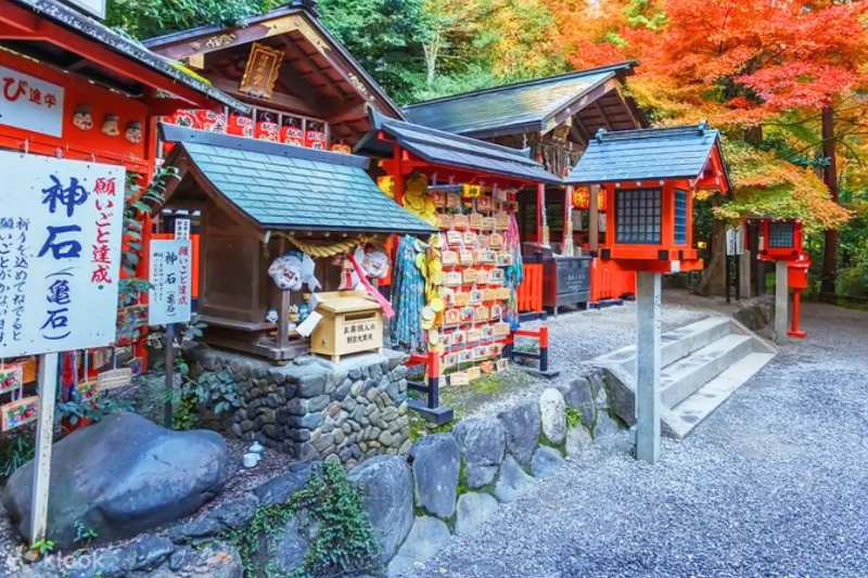 Tour Nhật Bản Cung Đường Vàng 6N5Đ: Tokyo – Núi Phú Sĩ – Rừng Tre Sagano – Kyoto – Osaka - Bay Vietjet Air