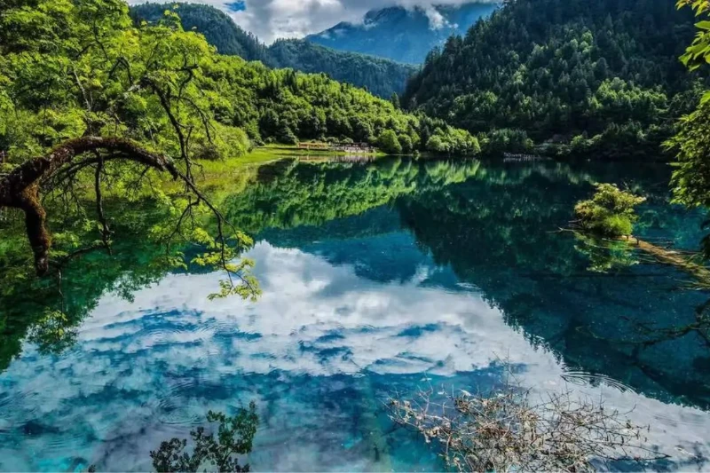 Tour Thành Đô - Cửu Trại Câu - Công Viên Gấu Trúc - Lạc Sơn 6n5đ