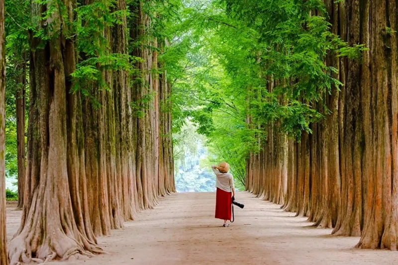 Ngày 2