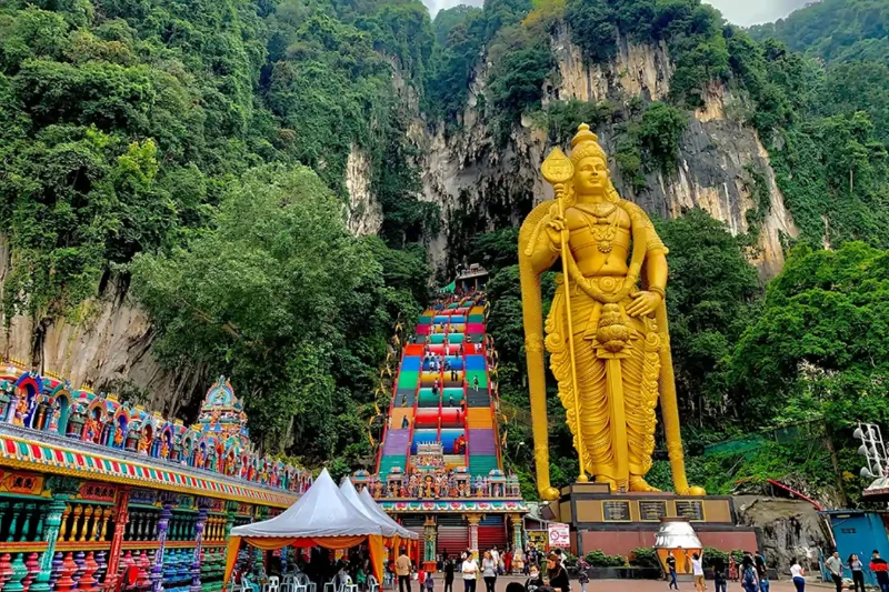 Ngày 5