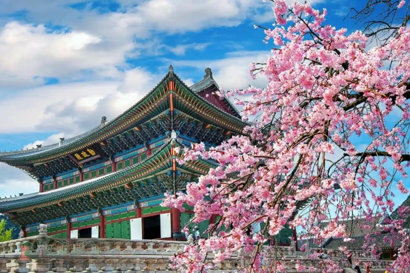 Ngày 4