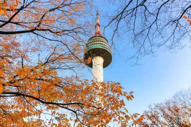Ngày 2