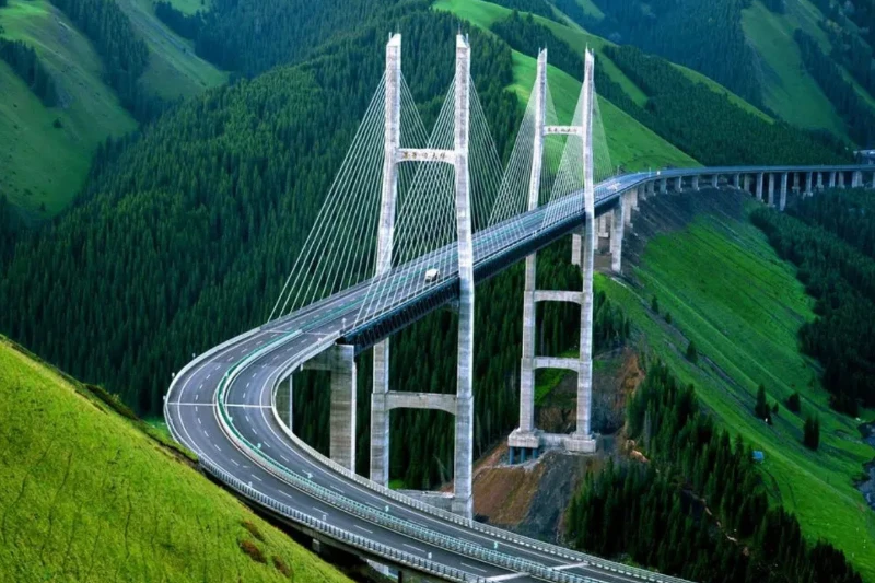 Ngày 6
