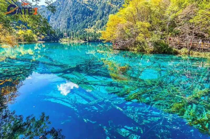 Ngày 3