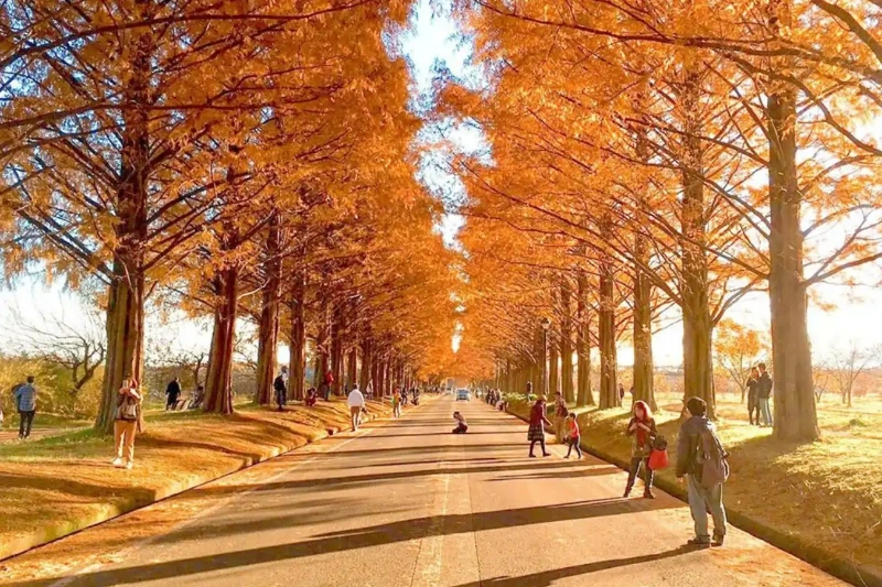 Ngày 4