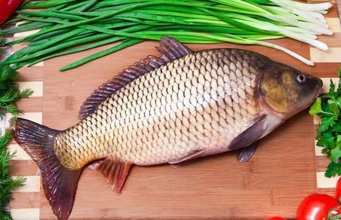 5 loại cá giá rẻ mà bổ ngang cá hồi, cứ ra chợ là thấy
