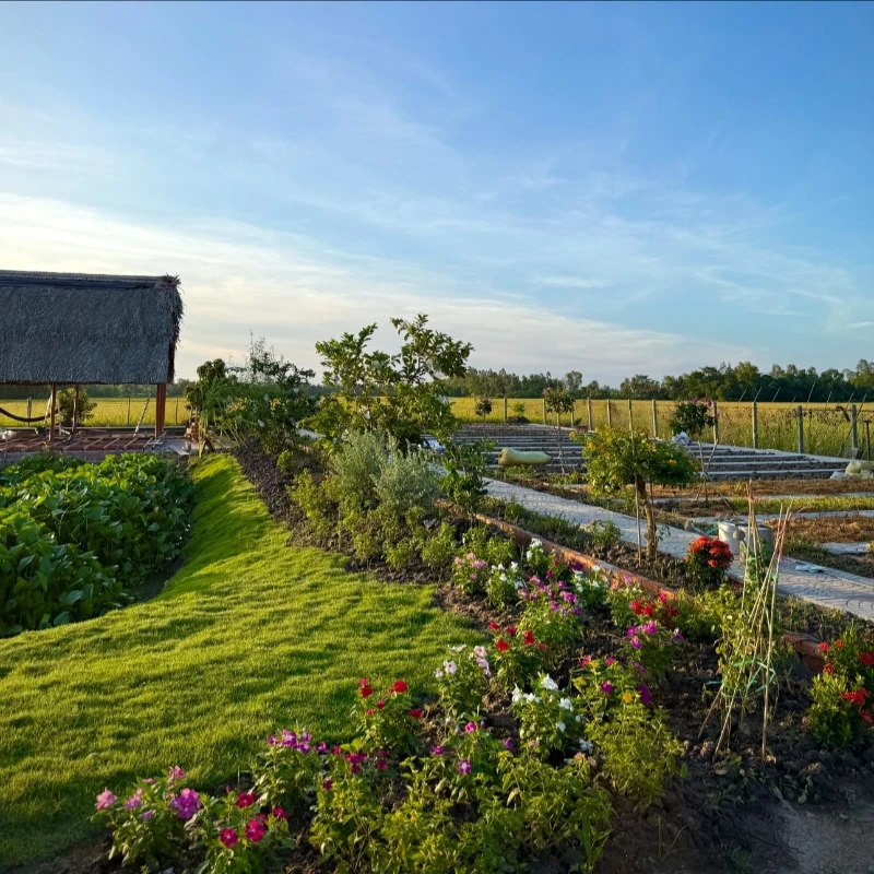 Khu Vườn 3.000 M2 Như Tranh Vẽ của Cặp Vợ Chồng an Giang