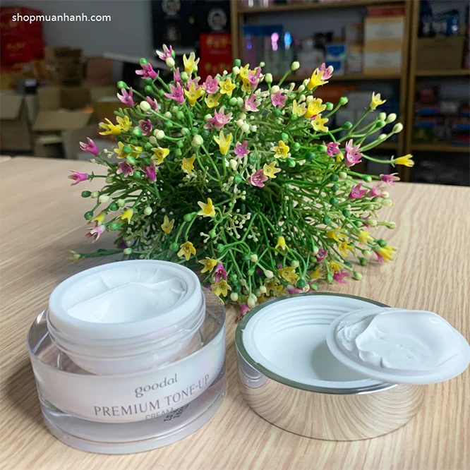 Kem Ốc Sên Dưỡng Trắng Goodal Premium Snail Tone Up Cream