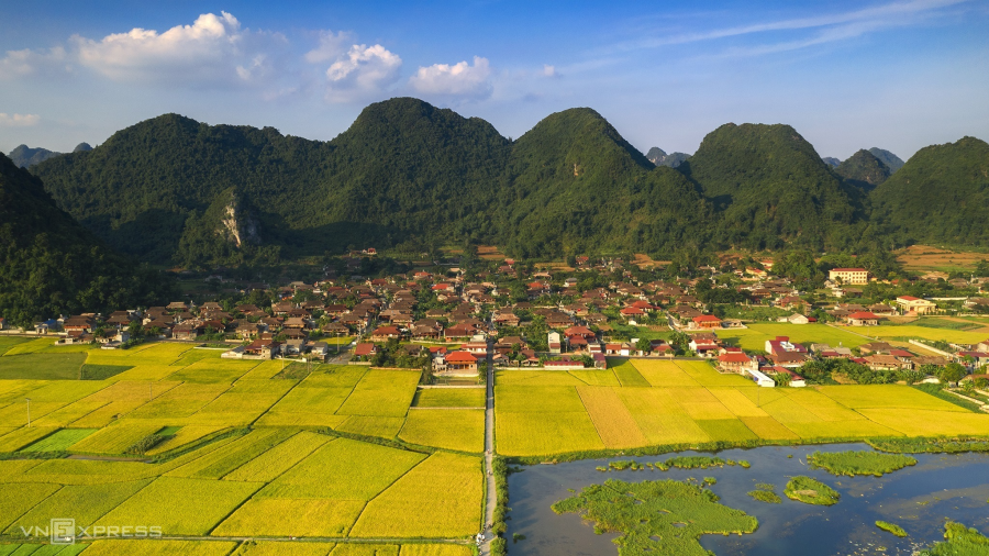 Mùa lúa chín vùng cao trong ấn tượng người làm du lịch-130-1