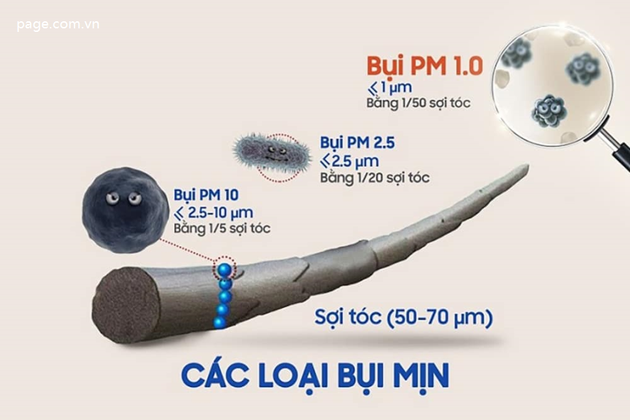 Bụi mịn là gì? Tác hại của bụi mịn đối với sức khỏe và cách phòng chống-324-1