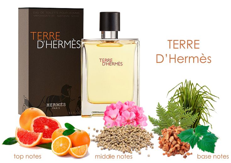 Nước Hoa Hermes Terre D'Hermes Eau Givree – Tinh Túy Mát Lạnh và Thanh Lịch-1165-2