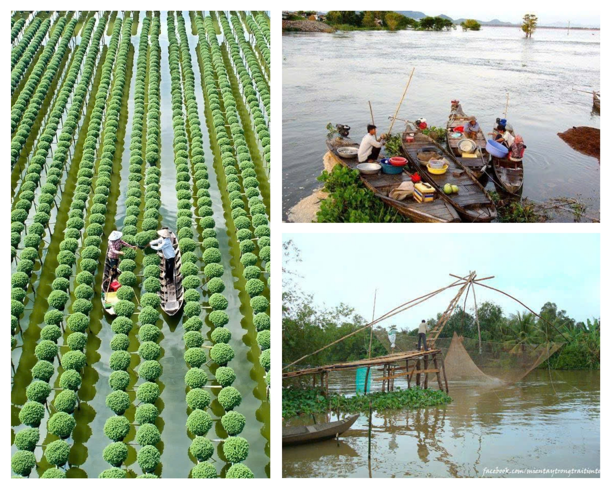 Khám Phá Miền Tây Sông Nước: Hữu Tình, Sôi Nổi Và Hệ Sinh Thái Đa Dạng-502-1