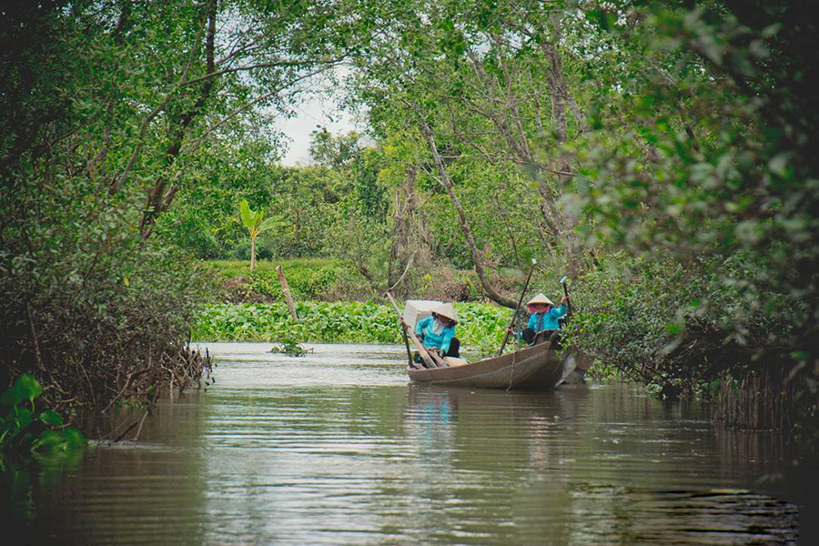 Khám Phá Cù Lao An Bình: Điểm Đến Hấp Dẫn, Đặc Sản, Cảnh Đẹp Tuyệt Vời-821-1