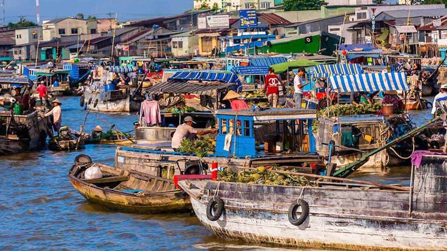 Cà Mau: Điểm Đến Cho Những Tín Đồ Du Lịch Yêu Thích Thiên Nhiên-640-1