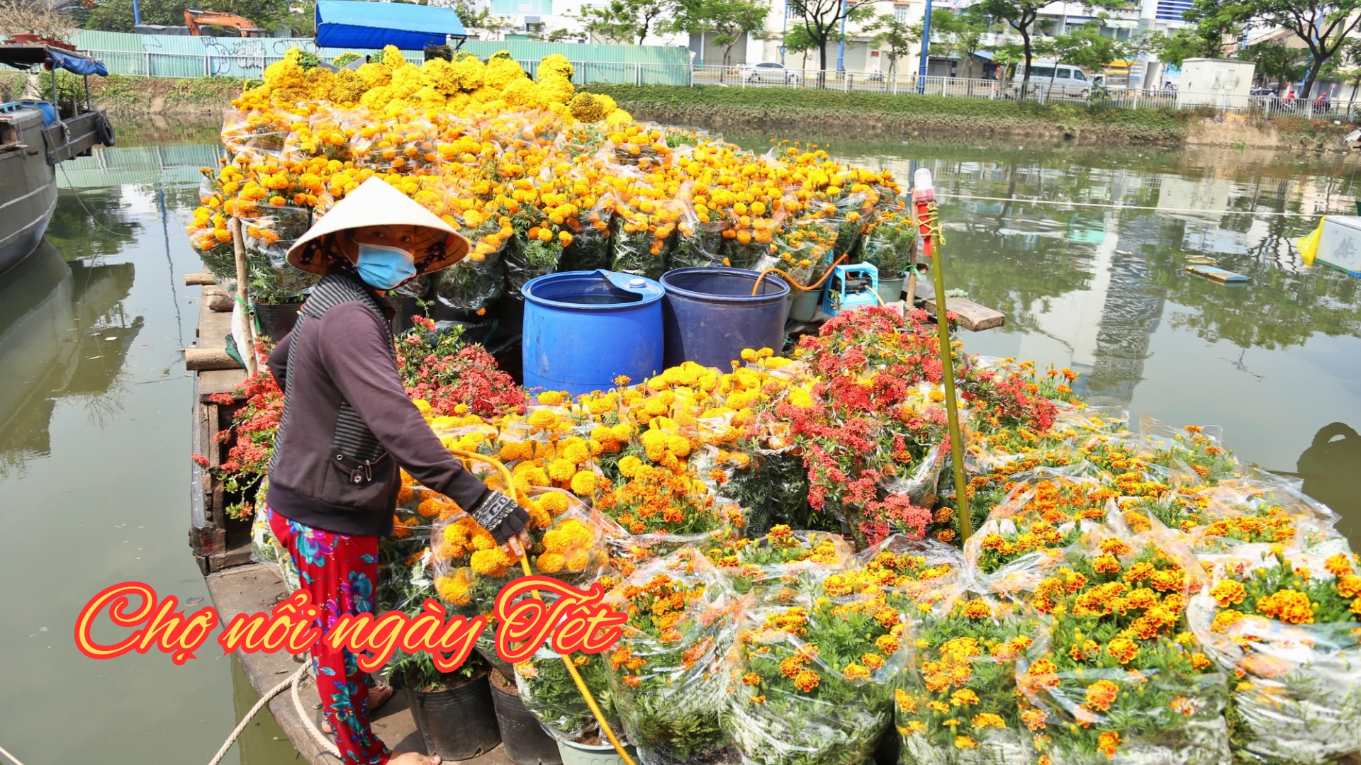 Tour Tết Miền Tây – Trải Nghiệm Không Gian Văn Hóa Đặc Sắc-1052-1