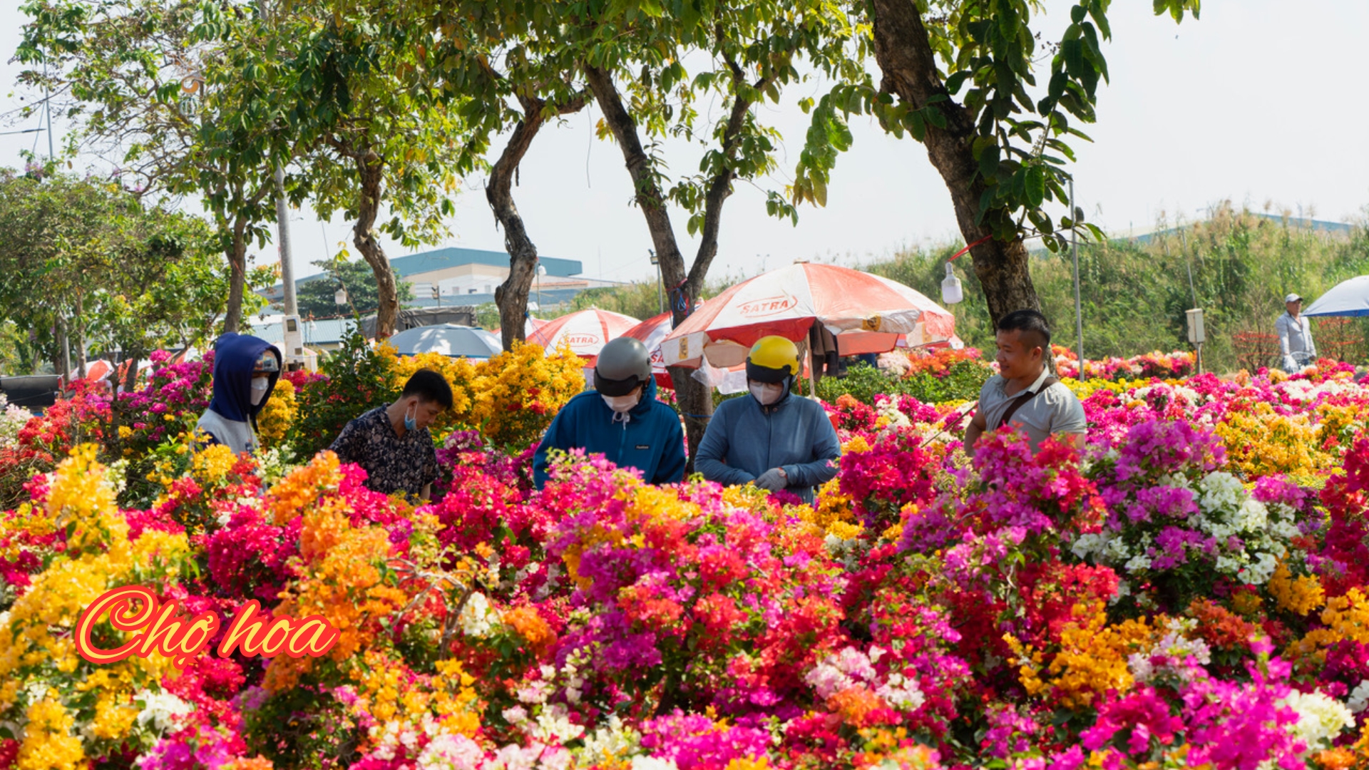 Tour Tết Miền Tây – Trải Nghiệm Không Gian Văn Hóa Đặc Sắc-1052-1