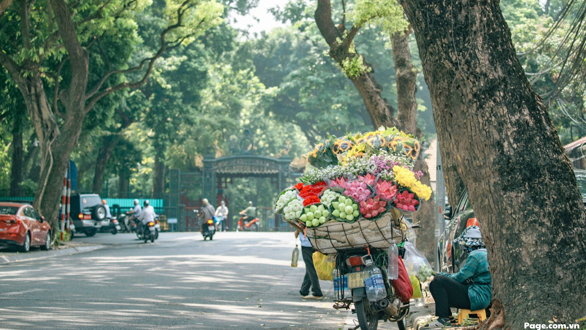 Du Lịch Hà Nội - Thủ Đô Ngàn Năm Văn Hiến-1146-1