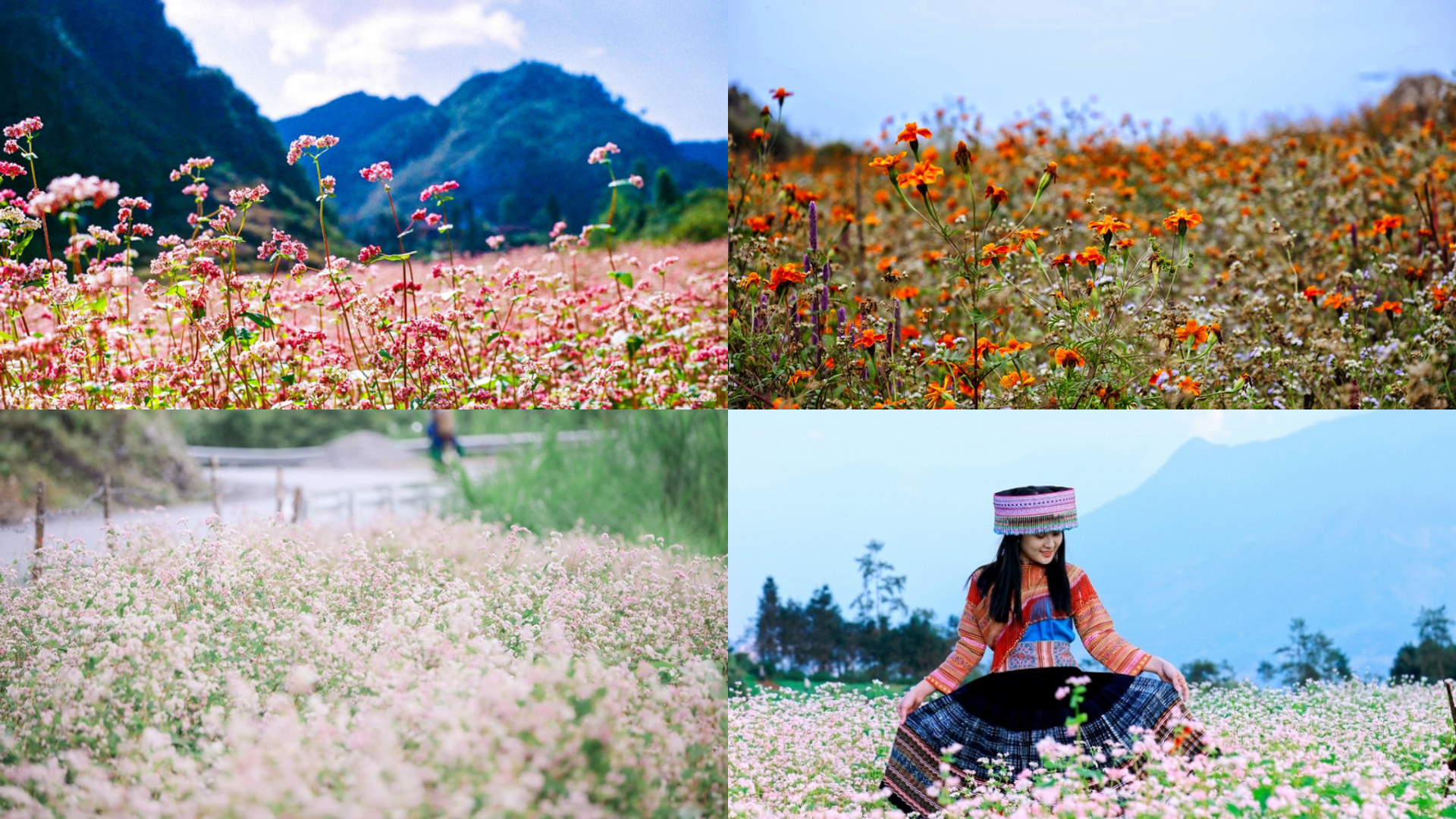 Du lịch Hà Giang: Trở về thượng nguồn cực Bắc-485-1