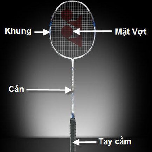 Top 5 cây vợt cầu lông dành cho người mới chơi-429-1