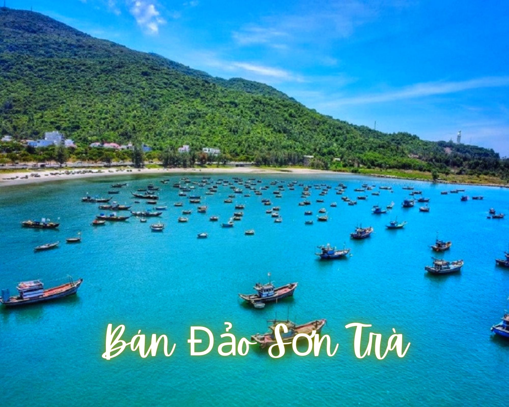 Bán Đảo Sơn Trà Đà Nẵng: Địa Điểm Du Lịch Mới Cho Giới Trẻ