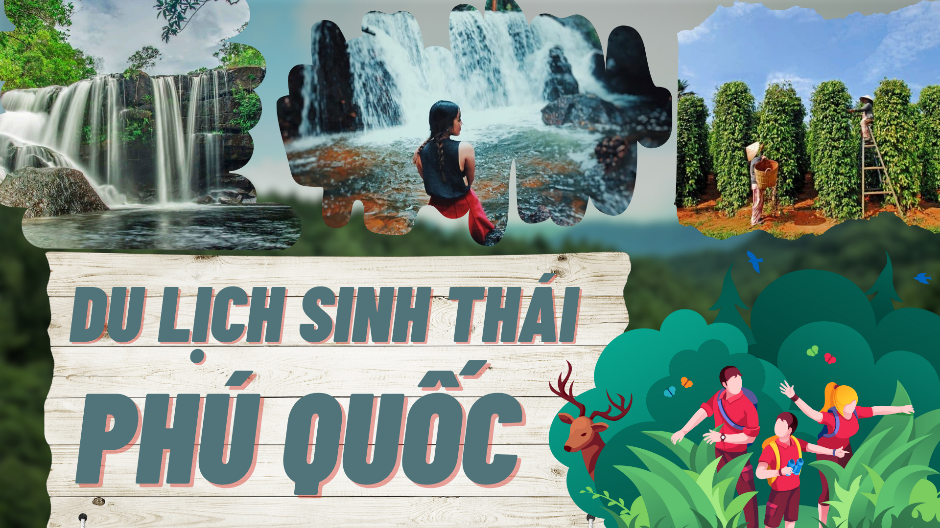 Du lịch sinh thái Phú Quốc – Ngắm nhìn bức tranh thiên nhiên sinh động