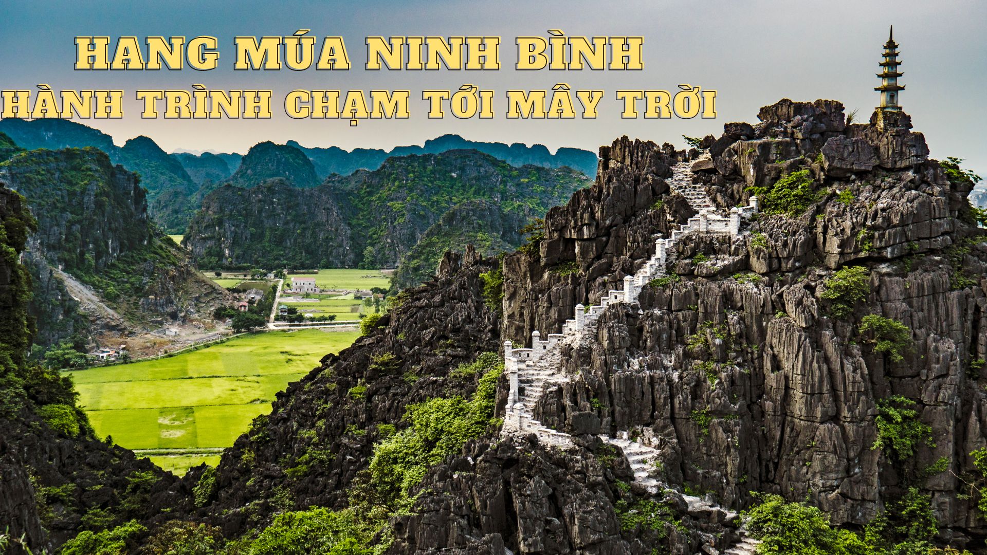 Hang Múa Ninh Bình: Những cảnh đẹp hút hồn và kinh nghiệm tham quan