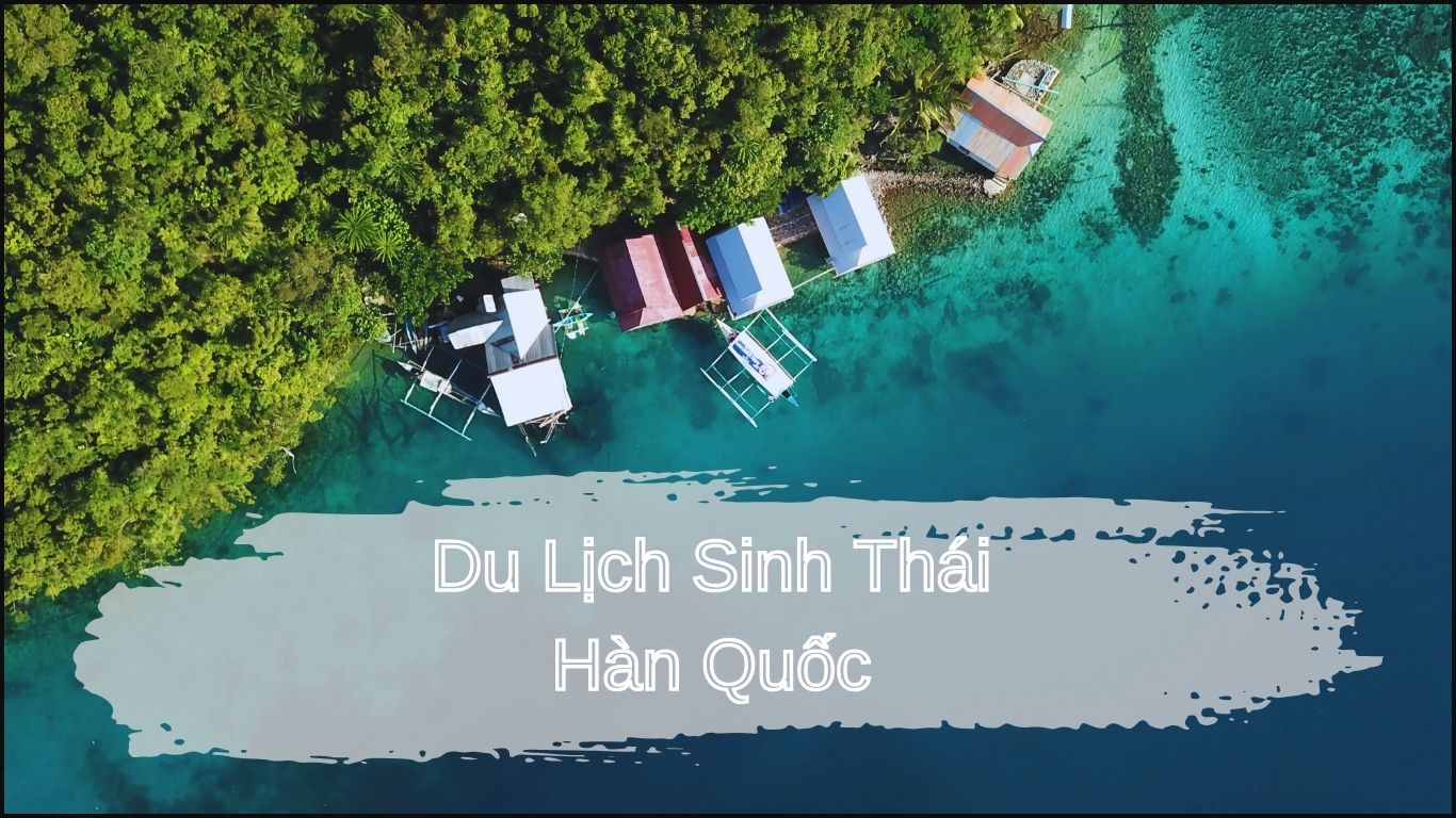 Khám Phá Du Lịch Sinh Thái Hàn Quốc – Hòa Mình Vào Thiên Nhiên Tuyệt Đẹp