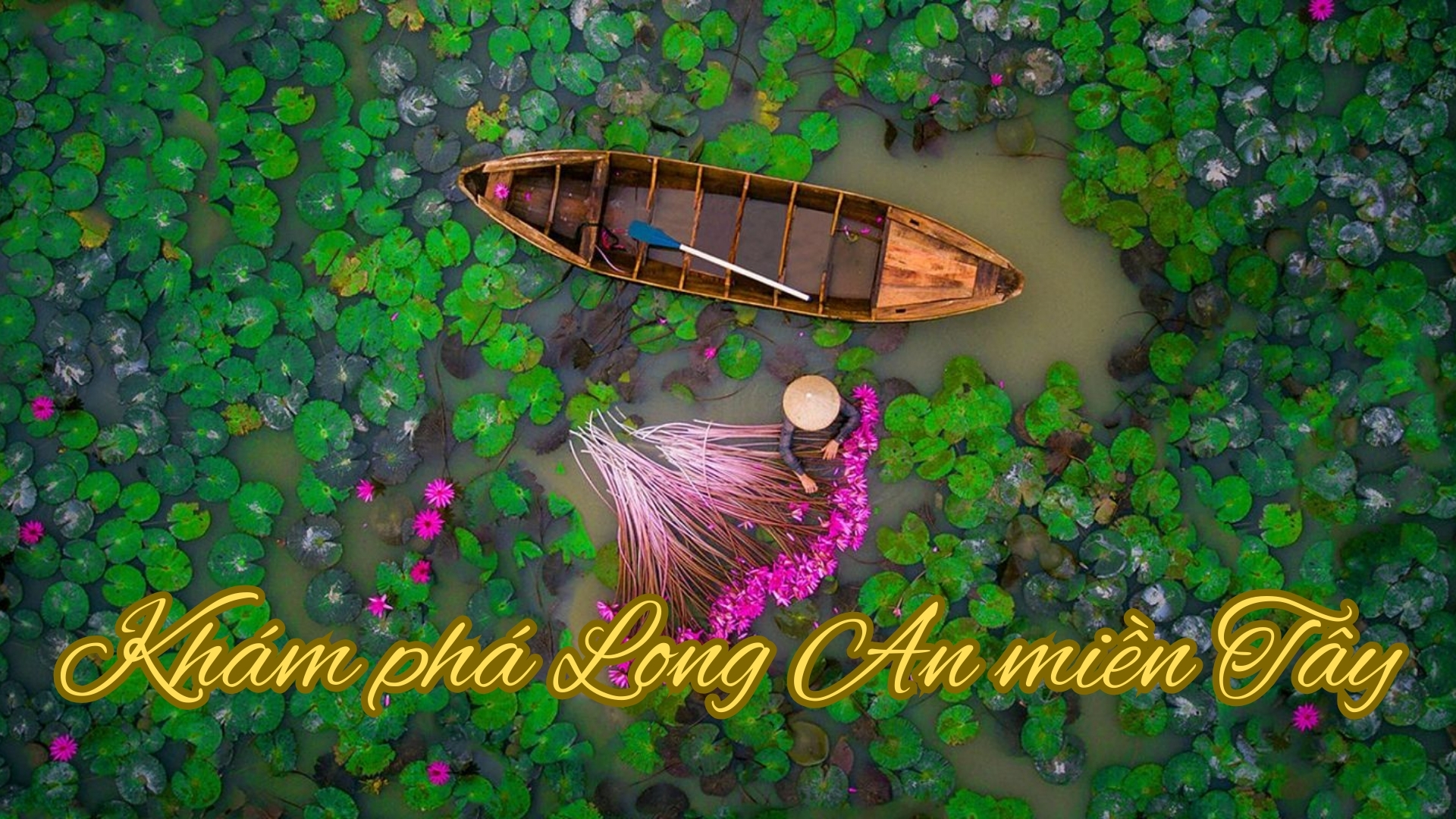 Khám Phá Long An Miền Tây – Điểm Đến Thú Vị Cho Du Khách